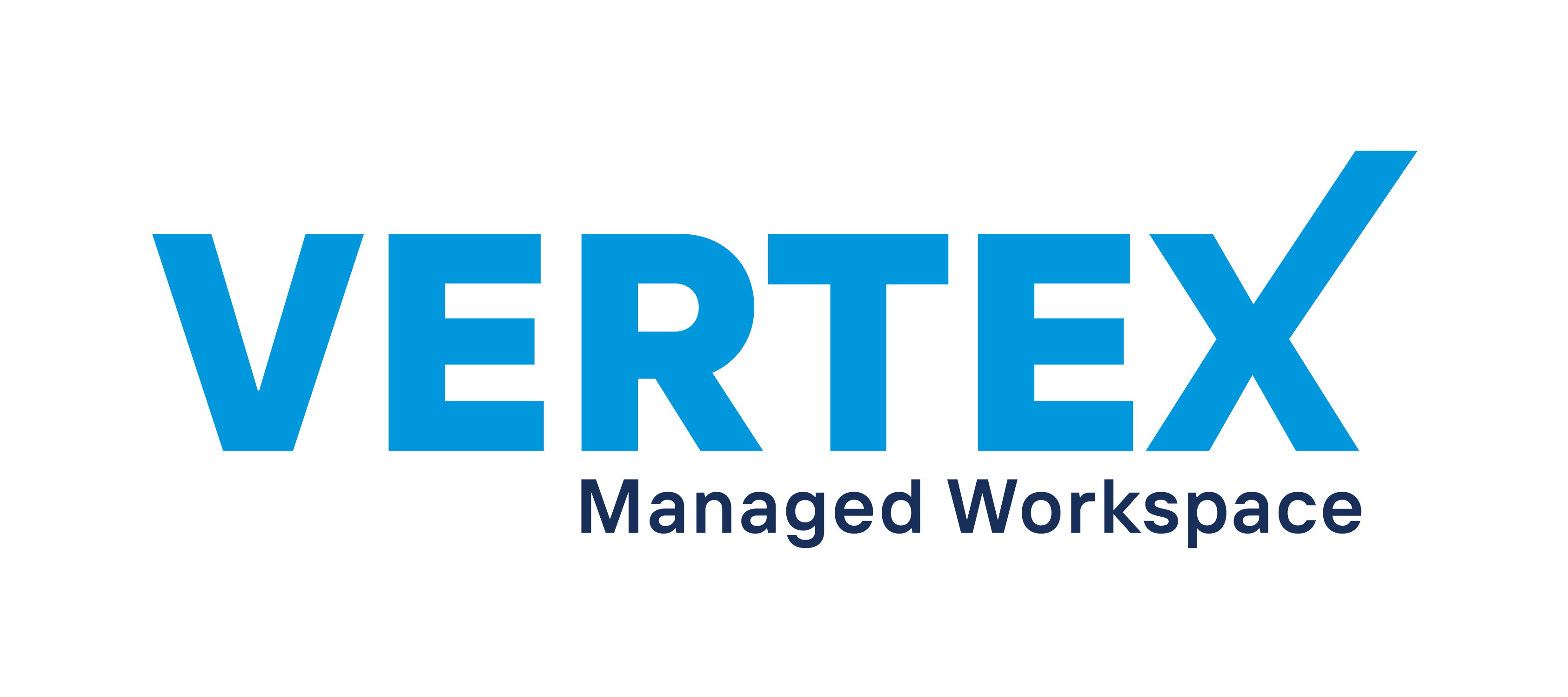 Vertex Managed Workspace